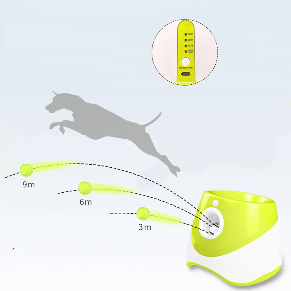 PawMotion launcher