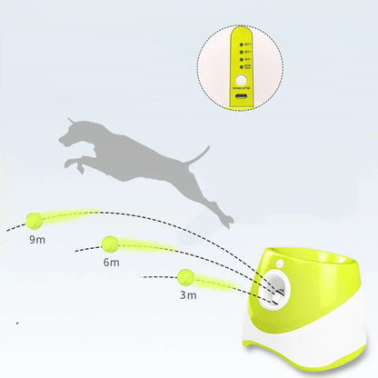 PawMotion launcher