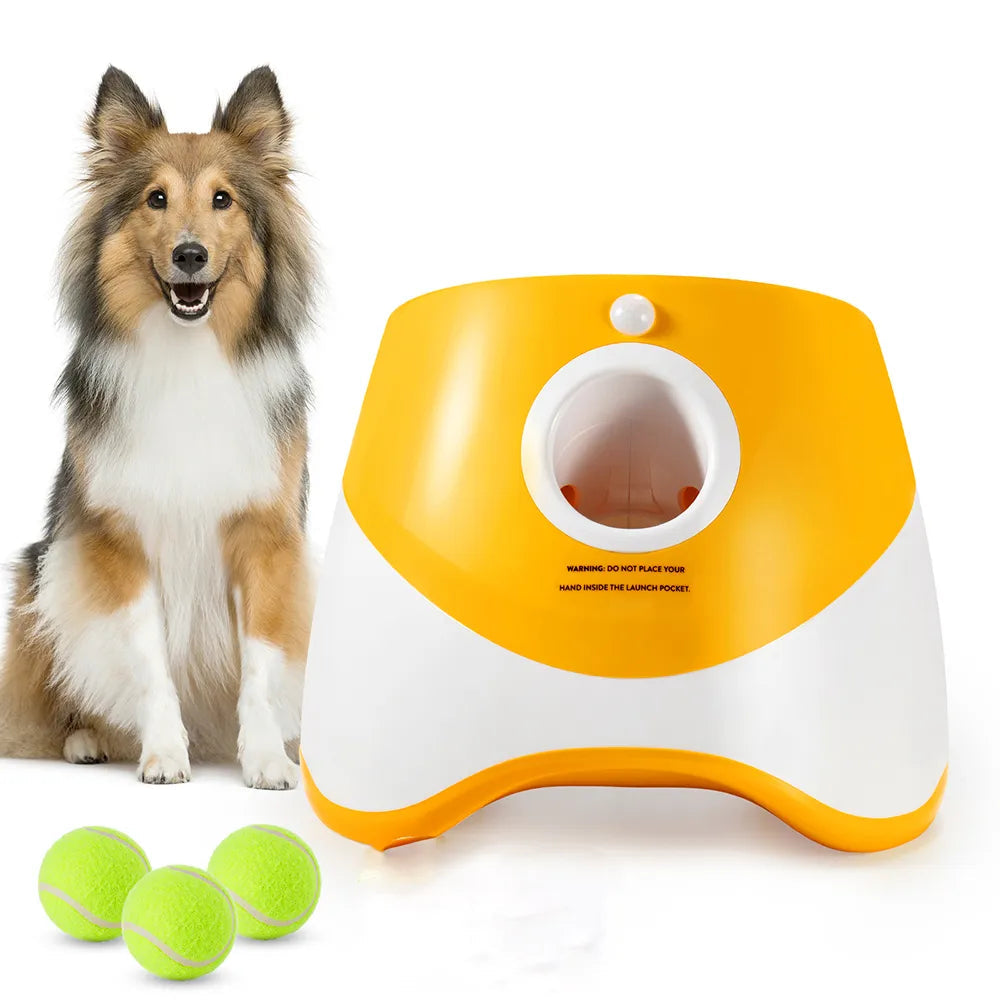 PawMotion launcher