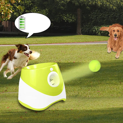 PawMotion launcher